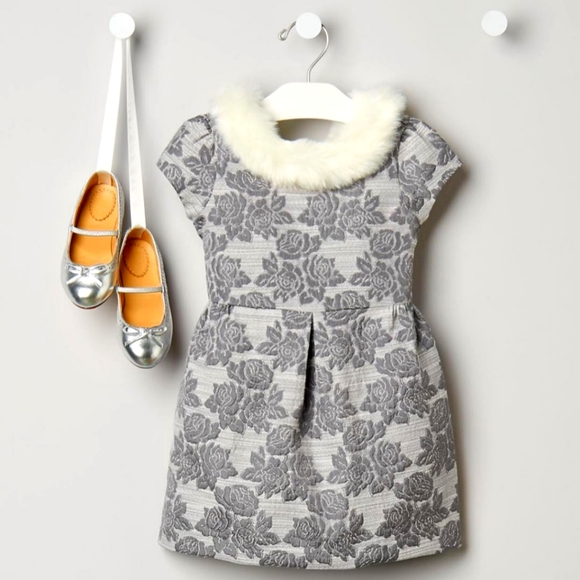 Janie and Jack Other - 2/25 New Janie and Jack Pirouette Petals Faux Fur Collar Silver Dress